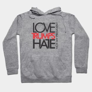 LOVE TRUMPS HATE Hoodie